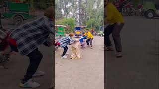 Head remove funny pranksterfun prankvideo comedy funkypranks comedyprank funnypranksters [upl. by Dion]