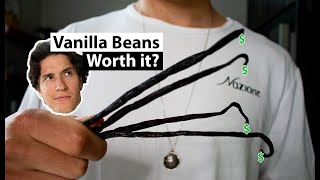 Do Vanilla Beans Make a Difference [upl. by Warram6]