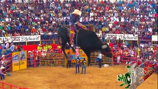 ¡¡20 TOROS DE SELECCION MICHOACANA JARIPEO EN EL RELICARIO DE MORELIA 28 DE AGOSTO [upl. by Ilellan]