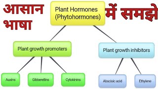 plant hormones।plant growth promoters। plant growth inhibitors। [upl. by Knick]