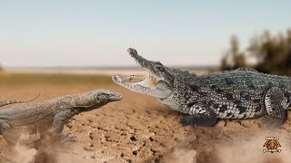 Crocodile vs Komodo Dragon  The Final Verdict shorts [upl. by Eeryn682]