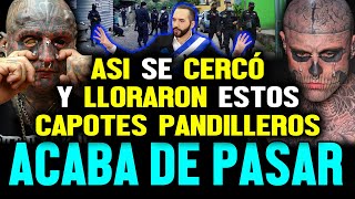 Así se cercó y lloraron estos capotes pand1lleros que se escondían de Bukele y El Salvador [upl. by Rizas]