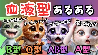 血液型あるあるが面白すぎるw【猫アニメ】 [upl. by Adnauq]