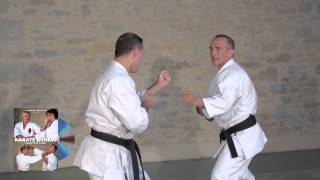 Karate Shotokan Bunkai with Didier Lupo amp JeanFrançois Tisseyre [upl. by Anirdnajela]