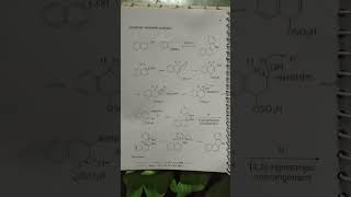 Bucherer carbazole synthesis [upl. by Ahsele]