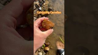 Continuing Carnelian Oregon explore nature find rock crystal fyp pnw hiking [upl. by Kezer51]