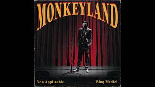 Non Applicable amp Blaq Medici  Monkeyland Album [upl. by Namya]