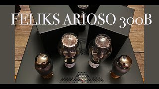 FELIKS 300B integrated amplifier luxury sound from Poland [upl. by Adnolat756]