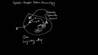 Cytosolic Receptor Pharmacology [upl. by Shifrah]