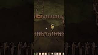 Automatic grass farm Dont Starve Together dst dontstarve shortvideodontstarvetogether shorts [upl. by Aniratac]