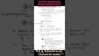 Edman degradation  protein sequencing Short note part1 [upl. by Marina]