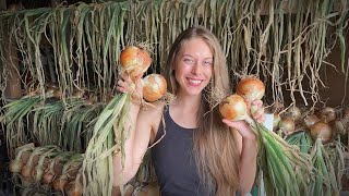 What I Did To Grow LARGE ONIONS From SEED 2023 Onion Harvest [upl. by Jarlath]