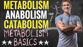 Metabolism Anabolism and Catabolism [upl. by Macey]