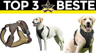 Hundegeschirr Test 2024 💎 TOP 3 beste Hundegeschirr [upl. by Gratt]