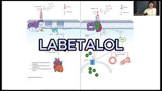 LABETALOL mecanismo de Acción 💊 antihipertensivos farmacia [upl. by Abeh615]