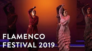 Flamenco Festival 2019 Ballet Flamenco Sara Baras [upl. by Yema]