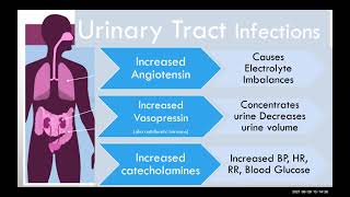 Sepsis pathophysiology and physical assessment [upl. by Jezreel]