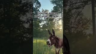 Its all I hear funny redneck funnyvideos [upl. by Kalindi]