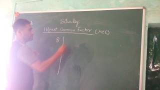 Highest Common Factor  Activity for kids  Grade 5 [upl. by Yesima]