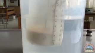 Density of Liquid Experiment Kurdish [upl. by Terbecki]