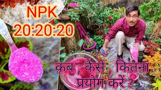 NPK 2020 20 क्या है  कब  कहां कैसे कितना प्रयोग करें  NPK 202020 How When and why to use [upl. by Low]