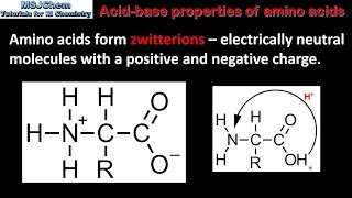 B2 Acidbase properties of amino acids SL [upl. by Enomyar278]