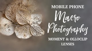 Mobile Phone MACRO Photography  Moment Lens and Olloclip Macro Lens for iPhone [upl. by Adlemi]