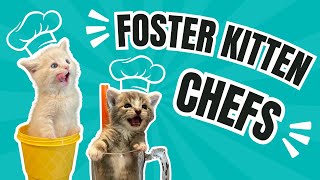 Cook with my Foster Kittens 🐈🧑‍🍳 [upl. by Barny]