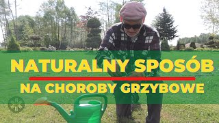 Naturalny sposób na choroby grzybowe u roślin [upl. by Nednarb924]