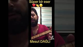 Mesut Dağlı  Şu Karşıki Dağda Kar Var Duman Yok [upl. by Wescott]