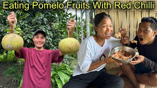 Eating Pomelo Fruits With Spicy Red Chillies 🌶️  Village Life [upl. by Bronwyn]