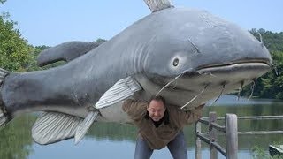 Debunking Catfishing Myths Plus awesome tip and techniques for catching catfish [upl. by Pail]