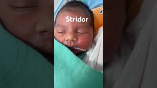 Stridor in newborn  Shorts  neonatology nicu neonates [upl. by Nahtahoj310]