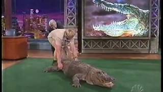 Jay Leno almost bitten by Alligator  Steve Irwin 2002 [upl. by Bucher208]