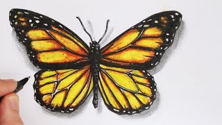 How to Draw a Realistic Butterfly Time Lapse [upl. by Annehcu]