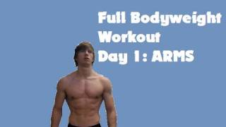 Full Bodyweight Workout Day 1 ARMS [upl. by Nyleek417]