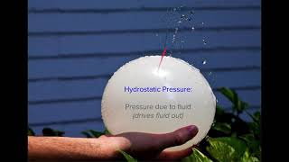 50 Introduction to oncotic pressure and hydrostatic pressure [upl. by Burley76]