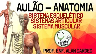 Sistema Esquelético Articular e Muscular  Revisão Anatomia Humana [upl. by Maud]