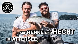 Renkenfischen LIVEBISSE 🎣❤️ am Attersee und Hechtfischen METERHECHT strklvrs [upl. by Nonahs]