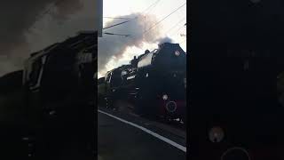 52 81415 mit ihrem Sonderzug von Löbau in DresdenStetzsch train züge dampflok railway [upl. by Lewendal]