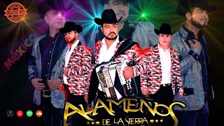 LOS ALAMEÑOS DE LA SIERRA🔥Huapangos Pa Bailar 2024🔥Popurri De Huapangos🔥Cumbias para Bailar 2024 [upl. by Aloise]