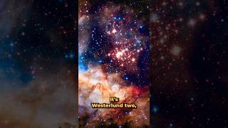 Westerlund 2 space universe astronomy science nasa hubble [upl. by Keeton]