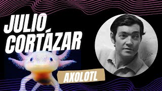 Axolotl de Julio Cortázar [upl. by Batty]