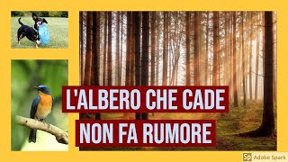 Lalbero che cade non fa rumore Laffermazione paradossale di Berkeley [upl. by Ardeid969]