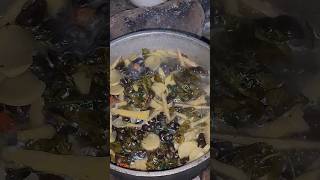 cooked snails snail camping wildlife shorts [upl. by Sukul]