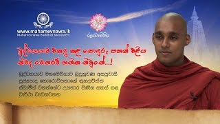 කිමද මෙතරම් හනික නිව්නේ  Shraddha TV [upl. by Cthrine410]