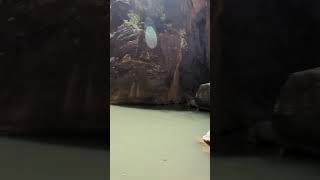 Zion Narrows Hiking Through Thousand Foot Walls zionnationalpark hikingadventure water hiking [upl. by Francene294]