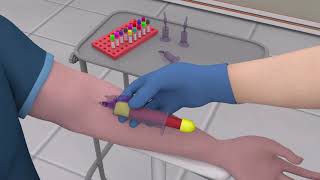 Online Phlebotomy Training Program [upl. by Deidre]