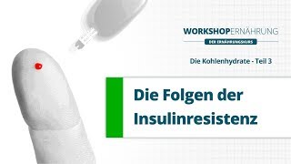 KOHLENHYDRATE 36 Die Folgen der Insulinresistenz Metabolisches Syndrom  Workshop Ernährung [upl. by Yellas238]