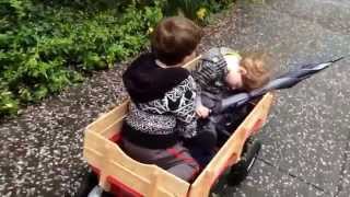 These twin boy toddlers keep nodding off in their Radio Flyer after a six mile trek [upl. by Nwahsuq]